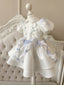 Lace Bow Dress